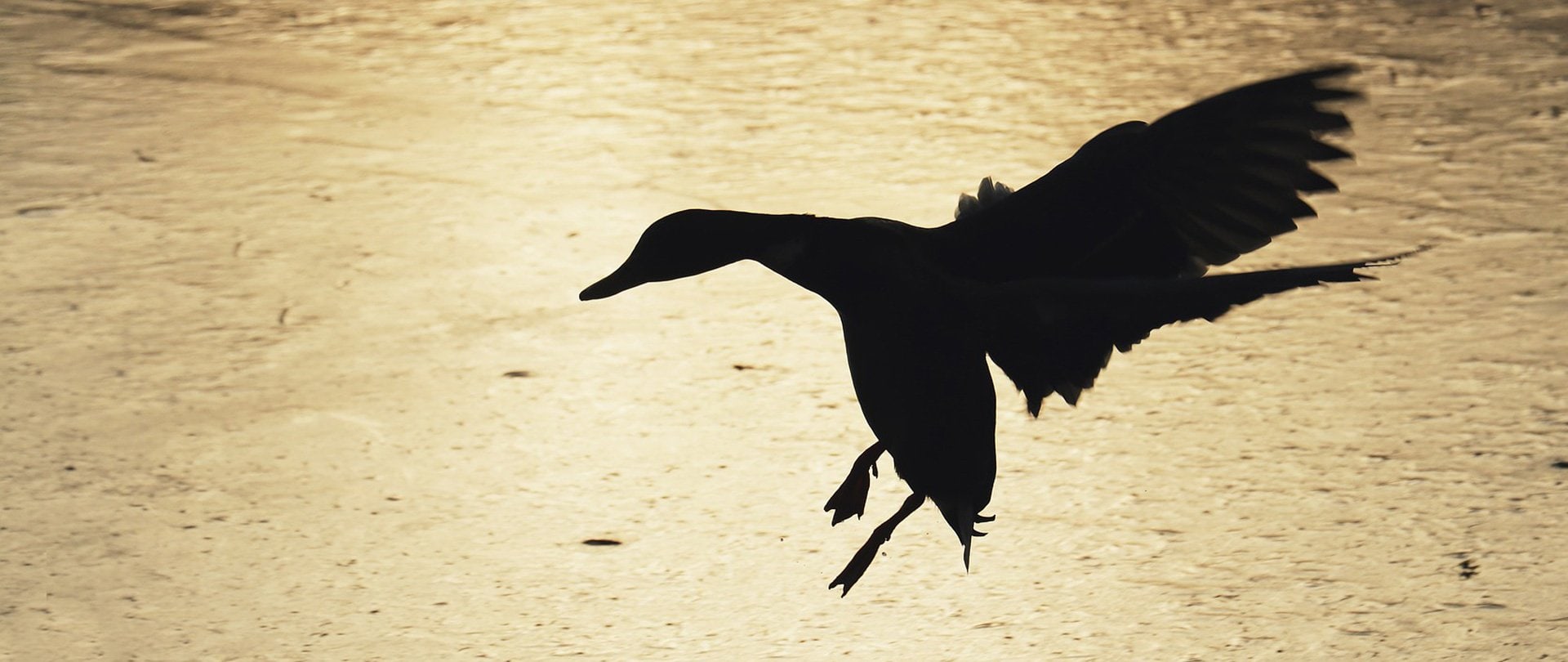 WordPress Landingpages Headbild