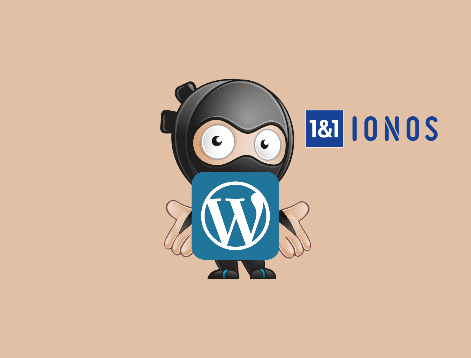 ionos wordpress installieren