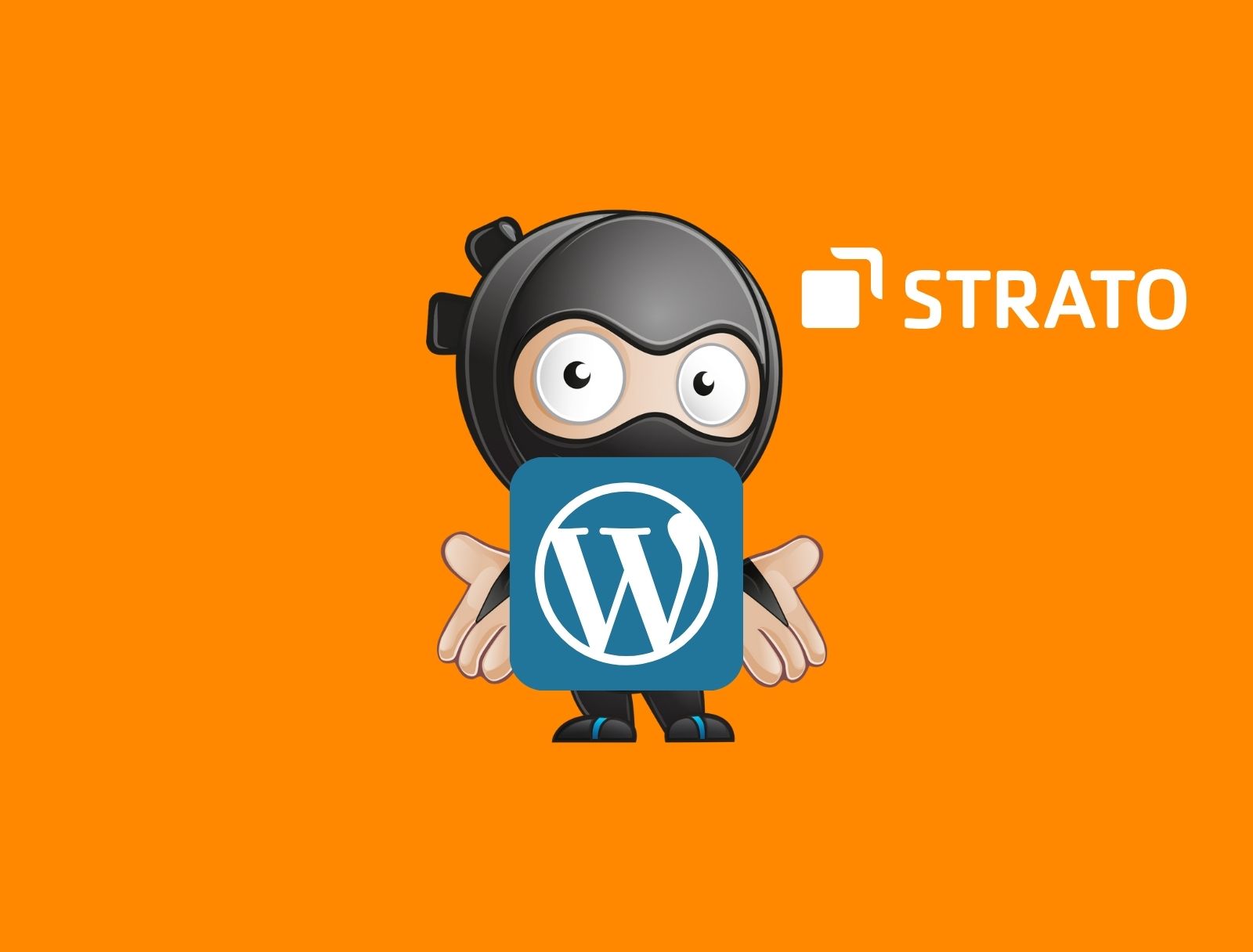 strato wordpress installieren
