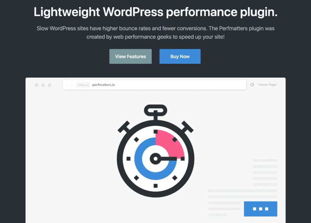 Perfmatters WordPress Plugin Headbild