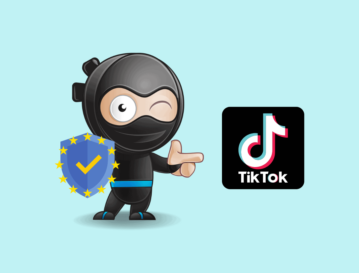 wordpress-tiktok-dsgvo.webp